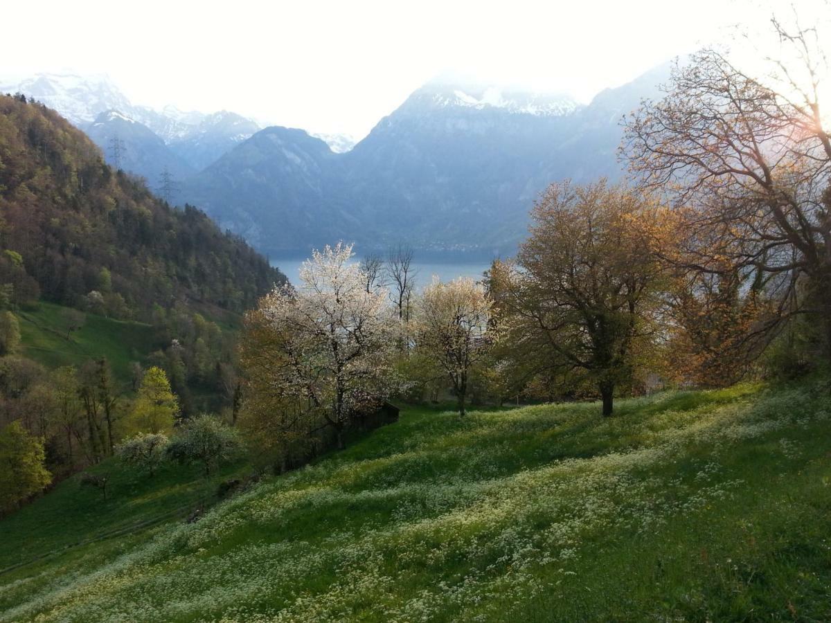 Panorama Jurte Über Dem Uri-See  Sisikon Exterior foto