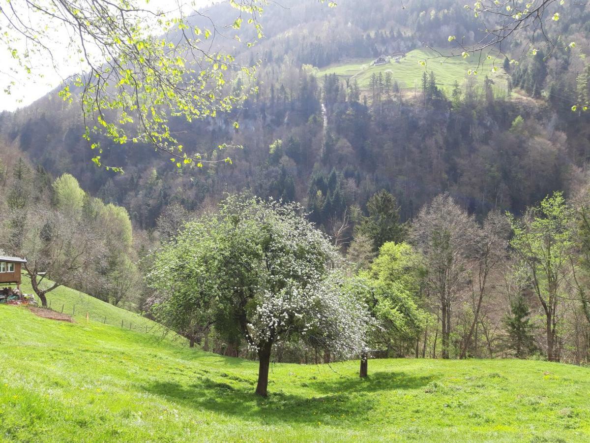 Panorama Jurte Über Dem Uri-See  Sisikon Exterior foto