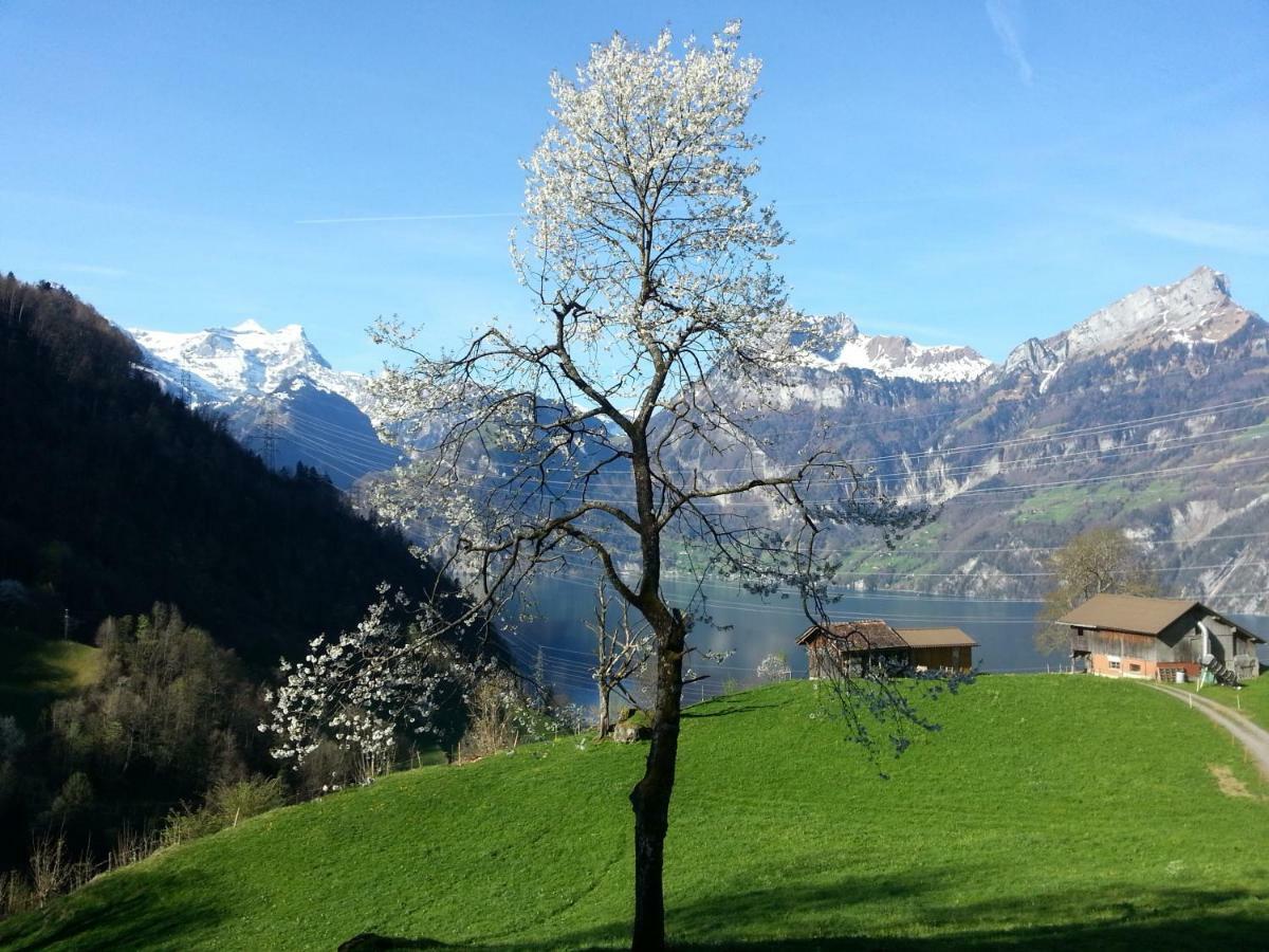 Panorama Jurte Über Dem Uri-See  Sisikon Exterior foto
